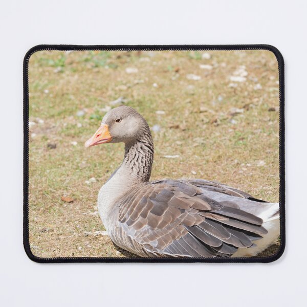 Item preview, Graylag Goose designed and sold by Tanya C  Smith.