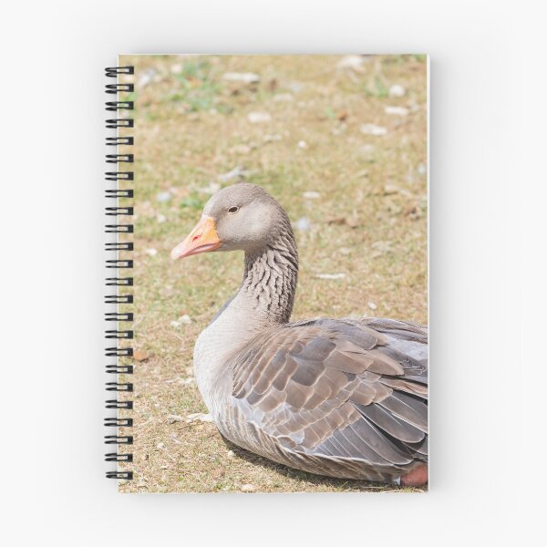 Item preview, Graylag Goose designed and sold by Tanya C  Smith.