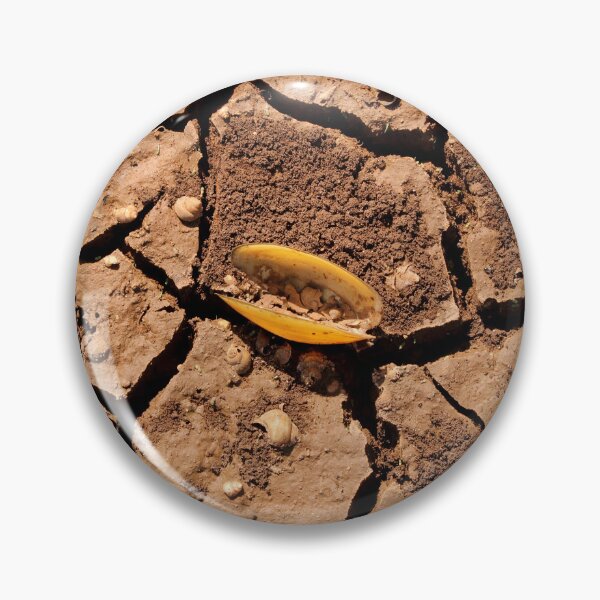 Item preview, River Shell in Cracked Dry Land. designed and sold by VgBingi.
