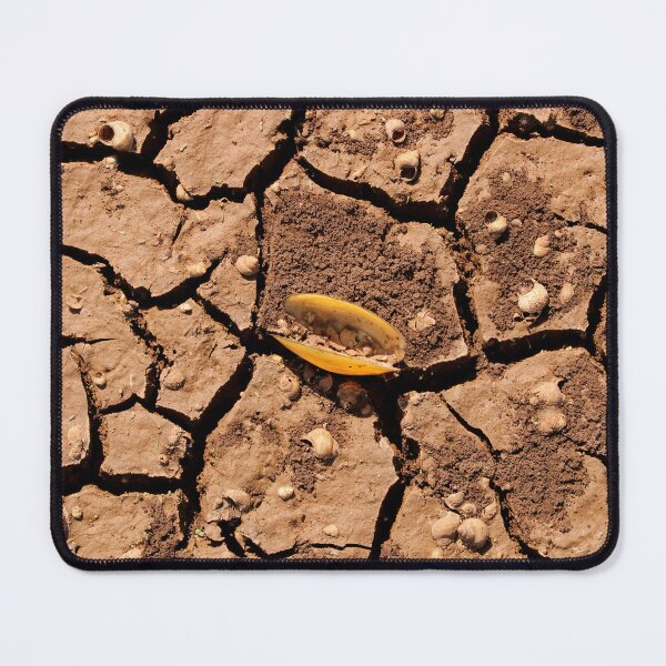 Item preview, River Shell in Cracked Dry Land. designed and sold by VgBingi.