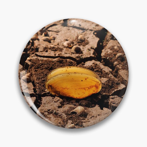 Item preview, River Shell in Cracked Dry Land. designed and sold by VgBingi.