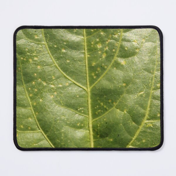 Item preview, The Leaf of the Black Eyed Pea Plant. designed and sold by VgBingi.