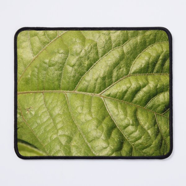 Item preview, The Leaf of the Mung Bean Plant. designed and sold by VgBingi.