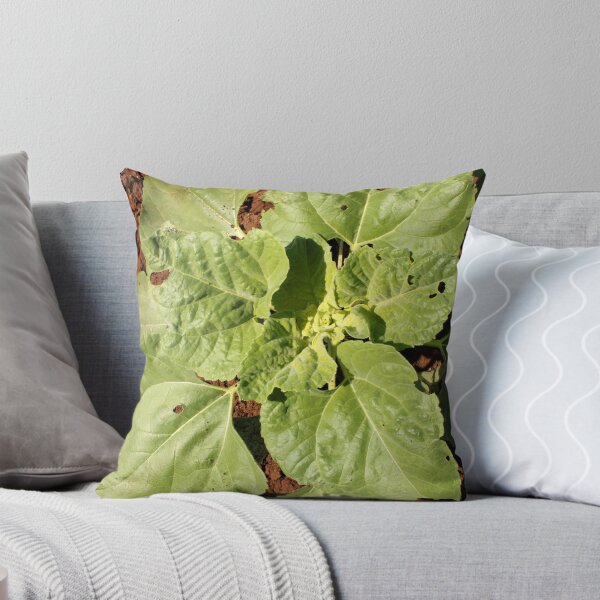 Item preview, Sunflower Plant in Agriculture Land. designed and sold by VgBingi.