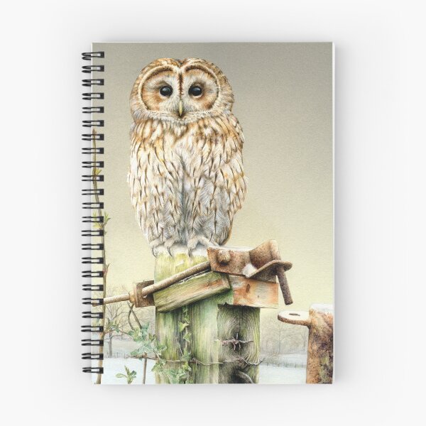Item preview, Tawny owl in the snow designed and sold by Sarah Trett.