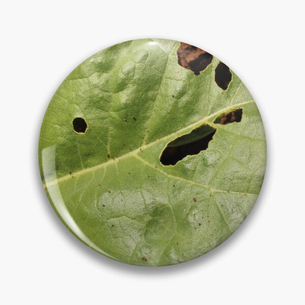 Item preview, A Leaf of the Sunflower Plant. designed and sold by VgBingi.