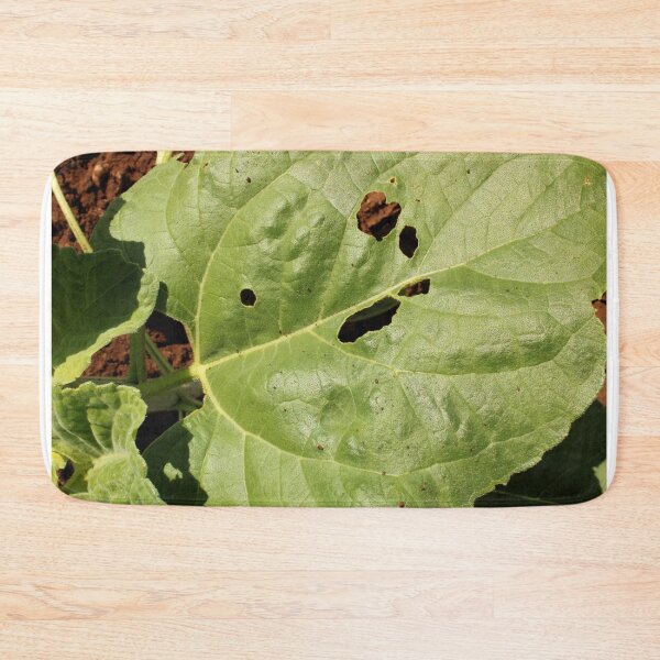 Item preview, A Leaf of the Sunflower Plant. designed and sold by VgBingi.
