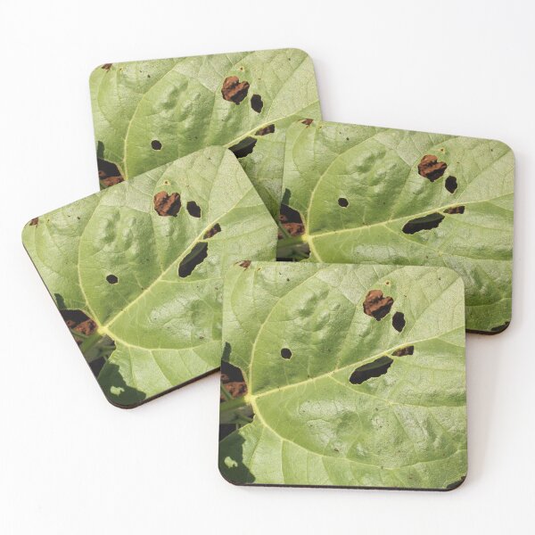 Item preview, A Leaf of the Sunflower Plant. designed and sold by VgBingi.