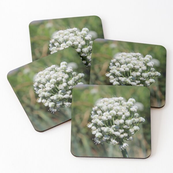 Item preview, Onion Flowers in Farm Land. designed and sold by VgBingi.