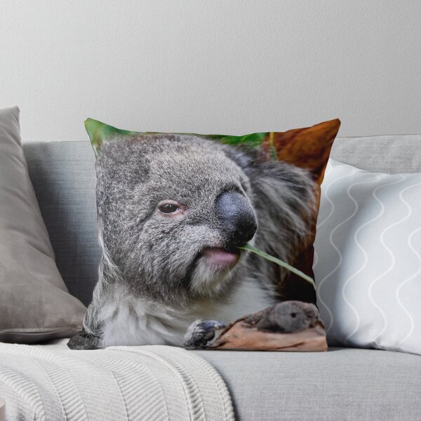 Item preview, Koala at Healesville designed and sold by Tom Newman.