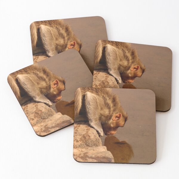Item preview, Monkey is Drinking Water in the Lake. designed and sold by VgBingi.
