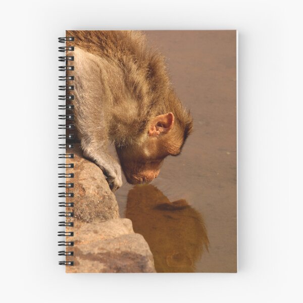 Item preview, Monkey is Drinking Water in the Lake. designed and sold by VgBingi.