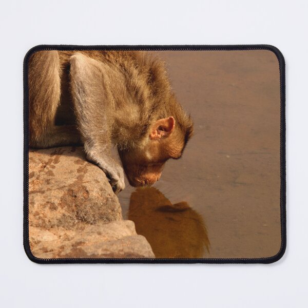 Item preview, Monkey is Drinking Water in the Lake. designed and sold by VgBingi.