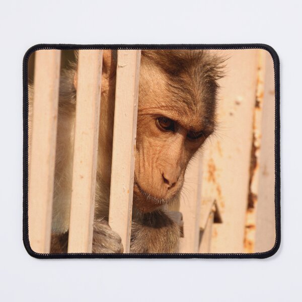 Item preview, Bonnet Macaque Monkey designed and sold by VgBingi.