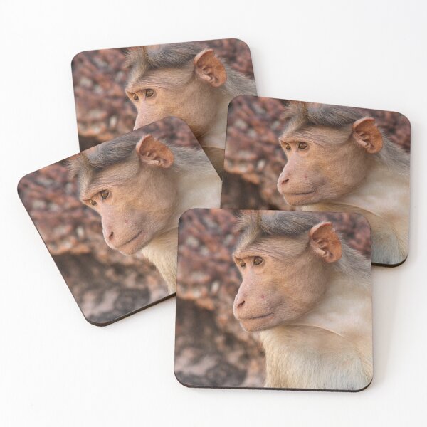 Item preview, Bonnet Macaque Monkey in Badami Fort. designed and sold by VgBingi.