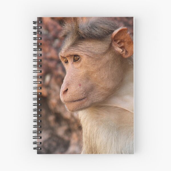 Item preview, Bonnet Macaque Monkey in Badami Fort. designed and sold by VgBingi.