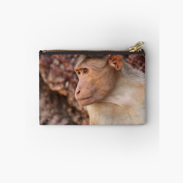 Item preview, Bonnet Macaque Monkey in Badami Fort. designed and sold by VgBingi.