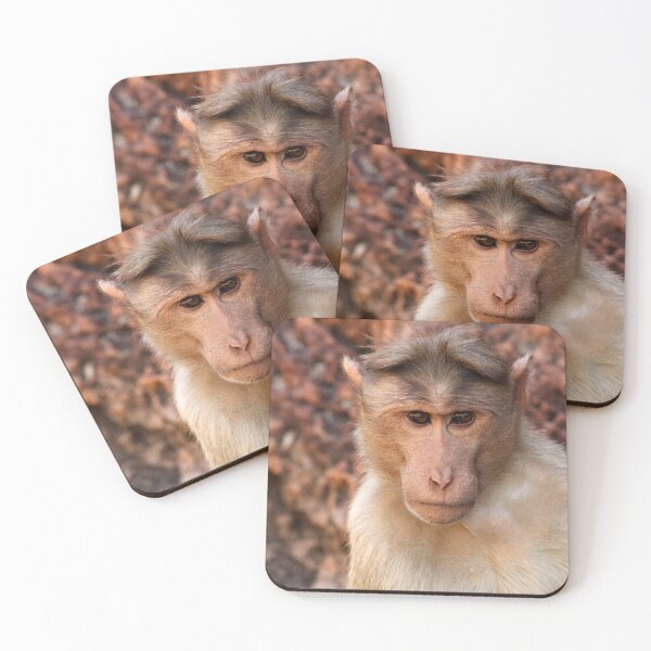 Item preview, Bonnet Macaque Monkey in Badami Fort. designed and sold by VgBingi.