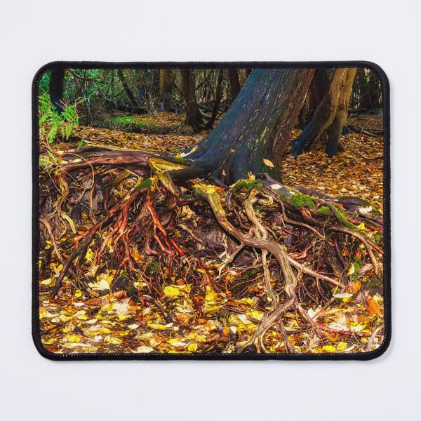Item preview, Tree Roots 3 designed and sold by Robert Alsop.