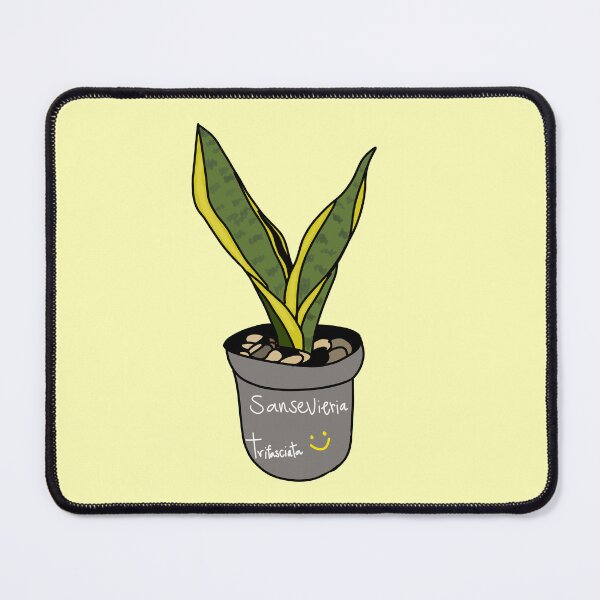 Item preview, Snake plant (Sansevieria trifasciata) designed and sold by Kaewtaming.