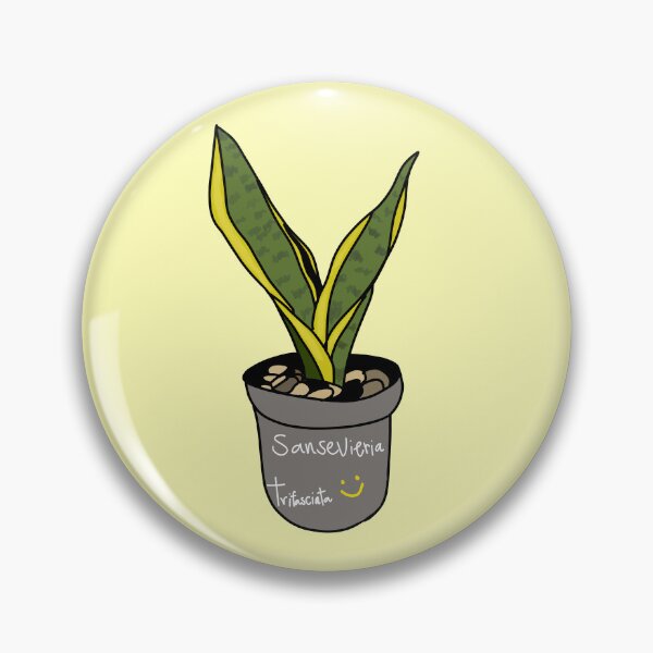 Item preview, Snake plant (Sansevieria trifasciata) designed and sold by Kaewtaming.