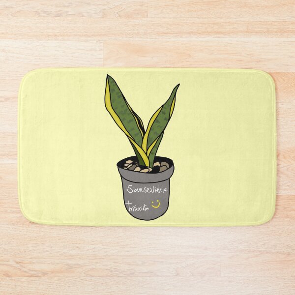 Item preview, Snake plant (Sansevieria trifasciata) designed and sold by Kaewtaming.