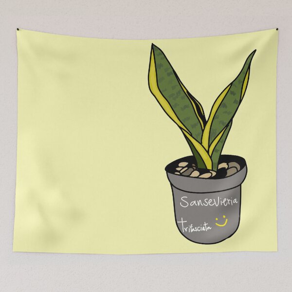Item preview, Snake plant (Sansevieria trifasciata) designed and sold by Kaewtaming.