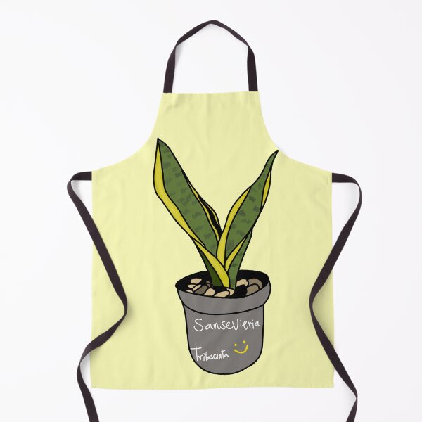 Item preview, Snake plant (Sansevieria trifasciata) designed and sold by Kaewtaming.