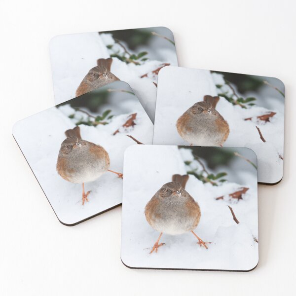 Item preview, A plucky dunnock braves a winter morning, The Rower, County Kilkenny, Ireland designed and sold by AndrewJonesFoto.