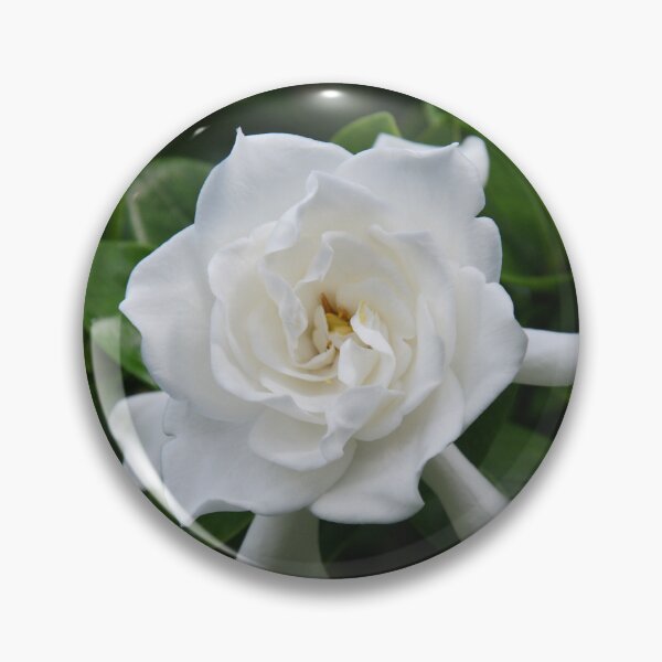 Item preview, White Flower designed and sold by PawPrintArtist.