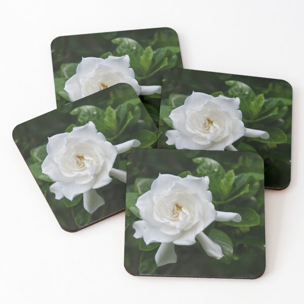Item preview, White Flower designed and sold by PawPrintArtist.