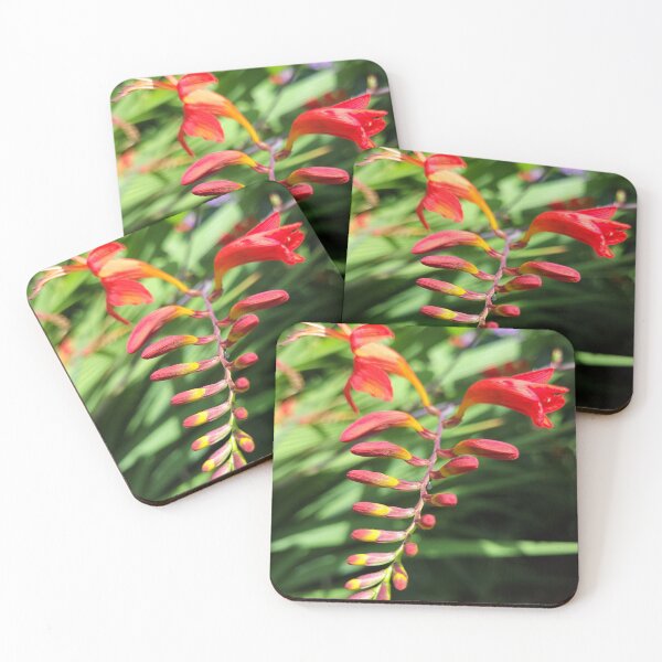 Item preview, Crocosmia designed and sold by OhNoNotAgain42.