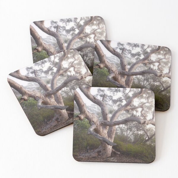 Item preview, Tangled Branches designed and sold by Geoff Wols.