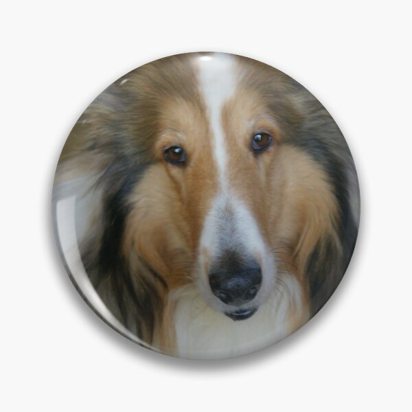 Artikelvorschau, Collie entworfen und verkauft von PawPrintArtist.