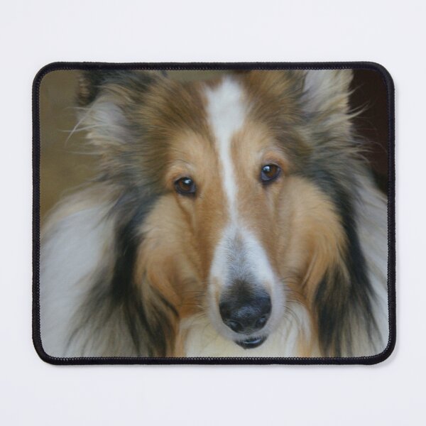 Item preview, Collie designed and sold by PawPrintArtist.