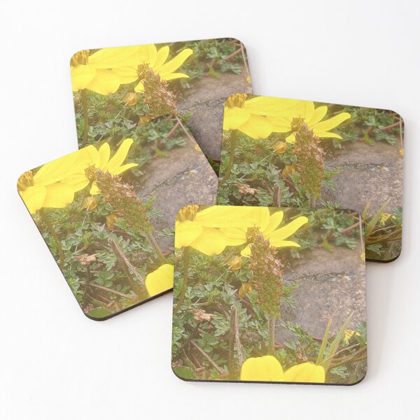 Item preview, Flowers from the Junín region designed and sold by bearutyAngel.