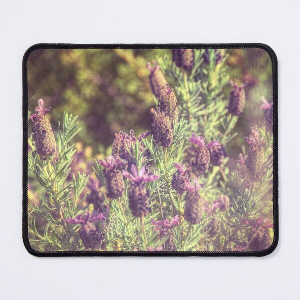 Item preview, Lavandula Stoechas designed and sold by Inna Soyturk.