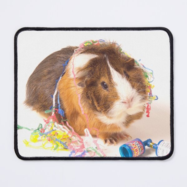 Item preview, Portrait of Basil the guinea pig on his birthday. designed and sold by bailey-cooper.