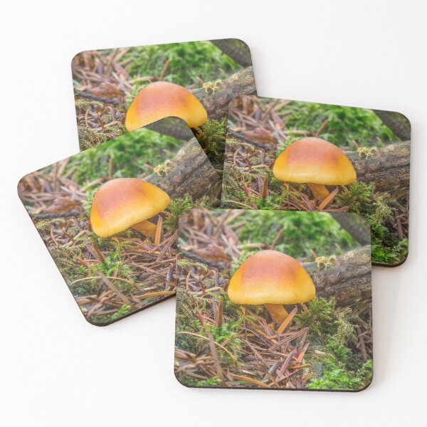 Item preview, Golden Fungi. designed and sold by Dave Hare Photography.