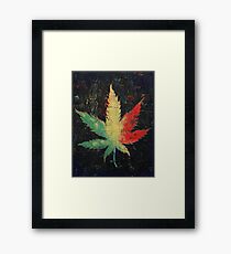Marijuana Framed Print