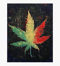 Marijuana Photographic Print