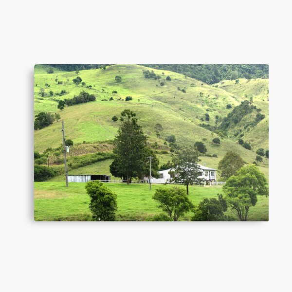 Hills Metal Print