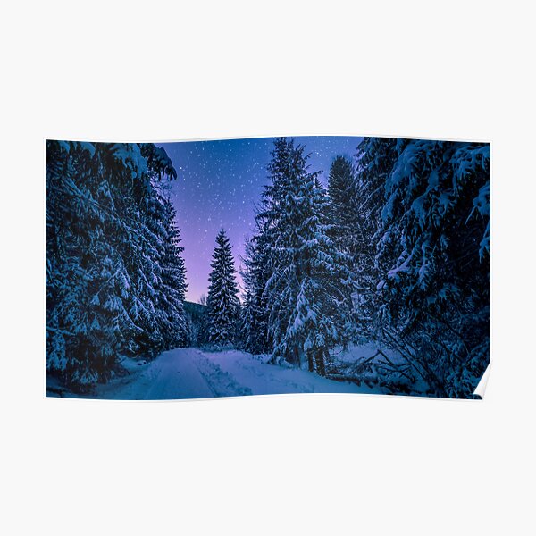 Snowy Forest Poster