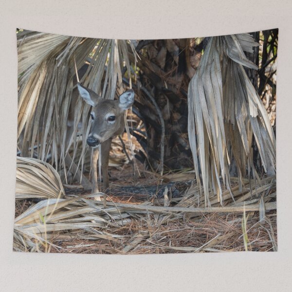 Item preview, Deer Peeking Out designed and sold by TinyDinoDesigns.