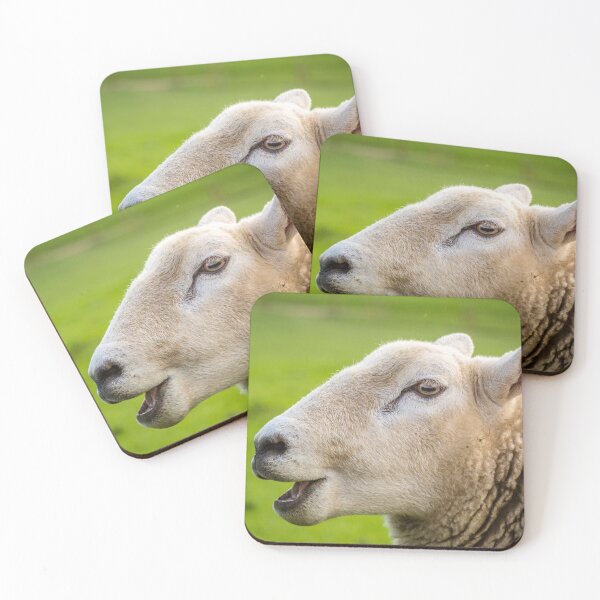 Item preview, Portrait of a white sheep. What are ewe talking about? designed and sold by bailey-cooper.