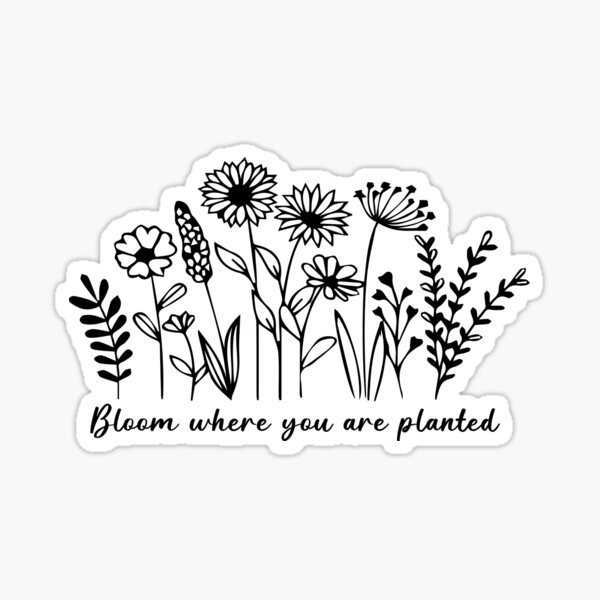 Bloom Where You Are Planted Sticker  Die Cut Stickers – Line and Kind  Paper Co.