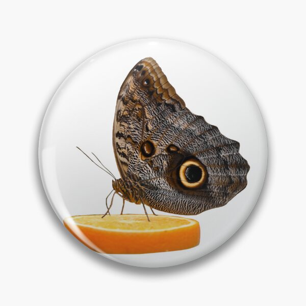 Item preview, Butterfly on orange slice designed and sold by Panda-003.