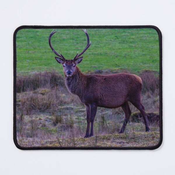 Item preview, Red Deer Stag the Monarch of the Glen designed and sold by DerickGray.