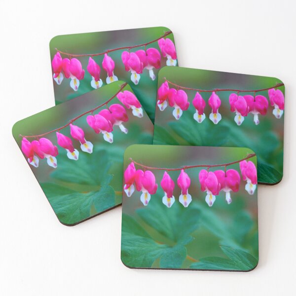 Item preview, Fuchsia Bleeding Hearts Lineup  designed and sold by BostonArcImage.