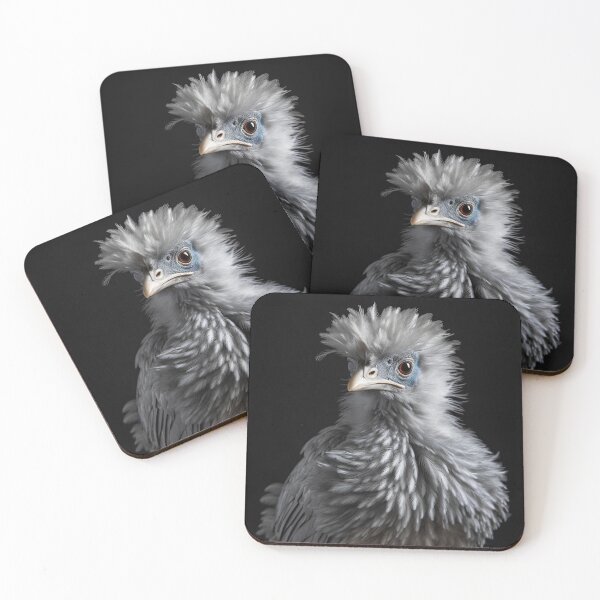 Item preview, Feathered Details: A Close-Up Look at Silkie Chicken designed and sold by Brendon987.